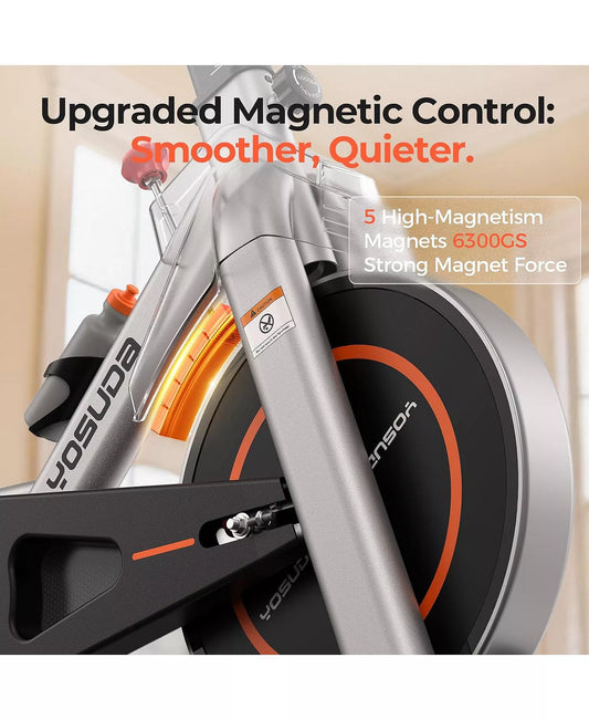 Magnetic 2.0 Premium Exercise Bike, Ultra-Quiet Strong Magnetic Resistance, 300lb Capacity, Smooth Stationary Bike for Home