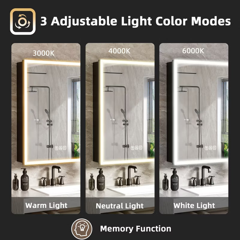 FAMYYT 24x30 inch LED Bathroom Medicine Cabinet with Mirror and Lights, Surface/Recessed Vanity Mirror Organizer, 3-Color Light Adjustment, Black