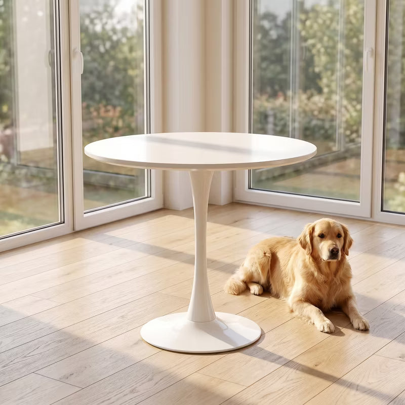 Modern 31.5" Round Dining Table, Mid-Century Pedestal Kitchen Furniture, Leisure Coffee Table for Small Spaces, Dorm, Apartment, Pure White