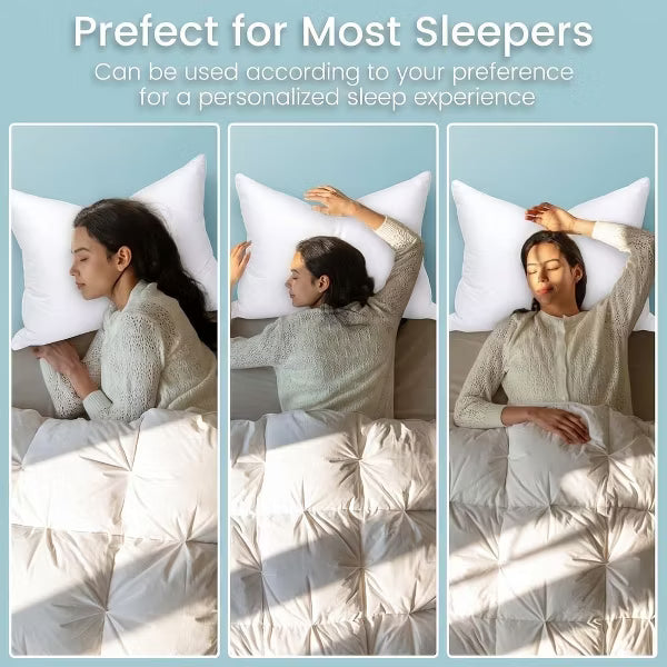 2 P ack Goose Down Pillows and Bed Pillows Queen Size for Sleeping,with 2 Pcs Soft Cotton Cover