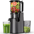 Cold Press Juicer Professional Slow Masticating Juicer for Whole Vegetables & Fruits with High Juice Yield Black