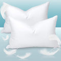 2 P ack Goose Down Pillows and Bed Pillows Queen Size for Sleeping,with 2 Pcs Soft Cotton Cover