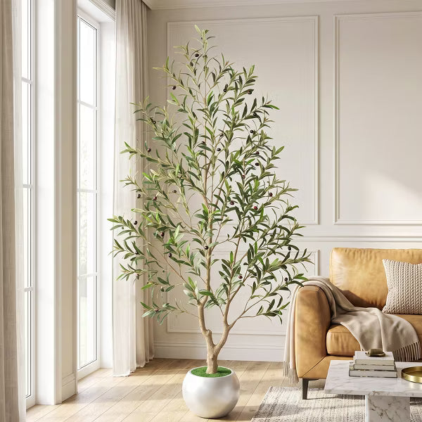 Romswi 6FT Artificial Olive Tree with White Round Planter, Faux Olive Trees with Natural Wood Trunk and Realistic Leaves Fruits, Indoor Decor Home