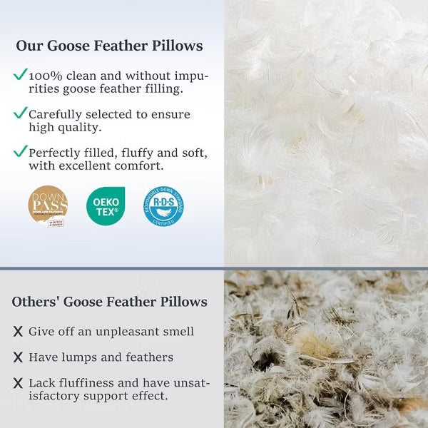2 P ack Goose Down Pillows and Bed Pillows Queen Size for Sleeping,with 2 Pcs Soft Cotton Cover