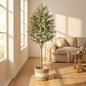 6FT Artificial Olive Tree Indoor Tall Faux with Planter&Basket Fake Olive Trees Realistic Olive Plants with Branches and Fruits for Home Decor