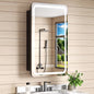 FAMYYT 16x28 inch LED Bathroom Medicine Cabinet with Mirror and Lights, Surface/Recessed Vanity Mirror Organizer, 3-Color Light Adjustment, Black