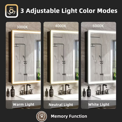 FAMYYT 24x30 inch LED Bathroom Medicine Cabinet with Mirror and Lights, Surface/Recessed Vanity Mirror Organizer, 3-Color Light Adjustment, Black