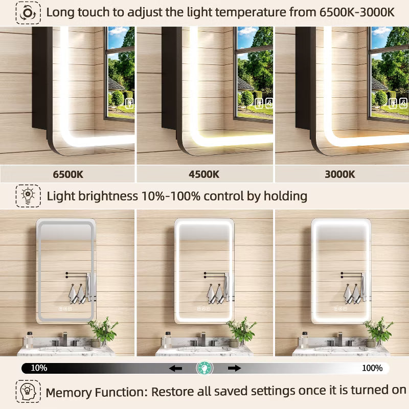 FAMYYT 16x28 inch LED Bathroom Medicine Cabinet with Mirror and Lights, Surface/Recessed Vanity Mirror Organizer, 3-Color Light Adjustment, Black