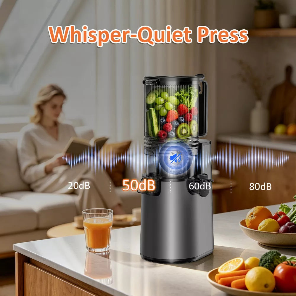 Cold Press Juicer Professional Slow Masticating Juicer for Whole Vegetables & Fruits with High Juice Yield Black