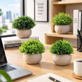 4 Pack Fake Plants Mini Faux Plants for Shelf Classroom Decor eco-friendly paper pulp pot, pet child safe, office desk kitchen bathroom decor