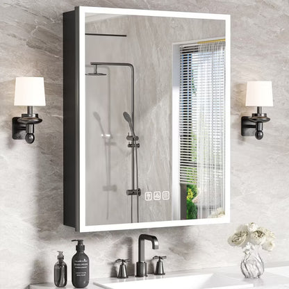 FAMYYT 24x30 inch LED Bathroom Medicine Cabinet with Mirror and Lights, Surface/Recessed Vanity Mirror Organizer, 3-Color Light Adjustment, Black