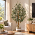 6ft Artificial Olive Tree Realistic Fake Olive Tree with Thick Trunk and Lifelike Leaves, Fruits - Large Faux Olive Tree for Home Office Decor